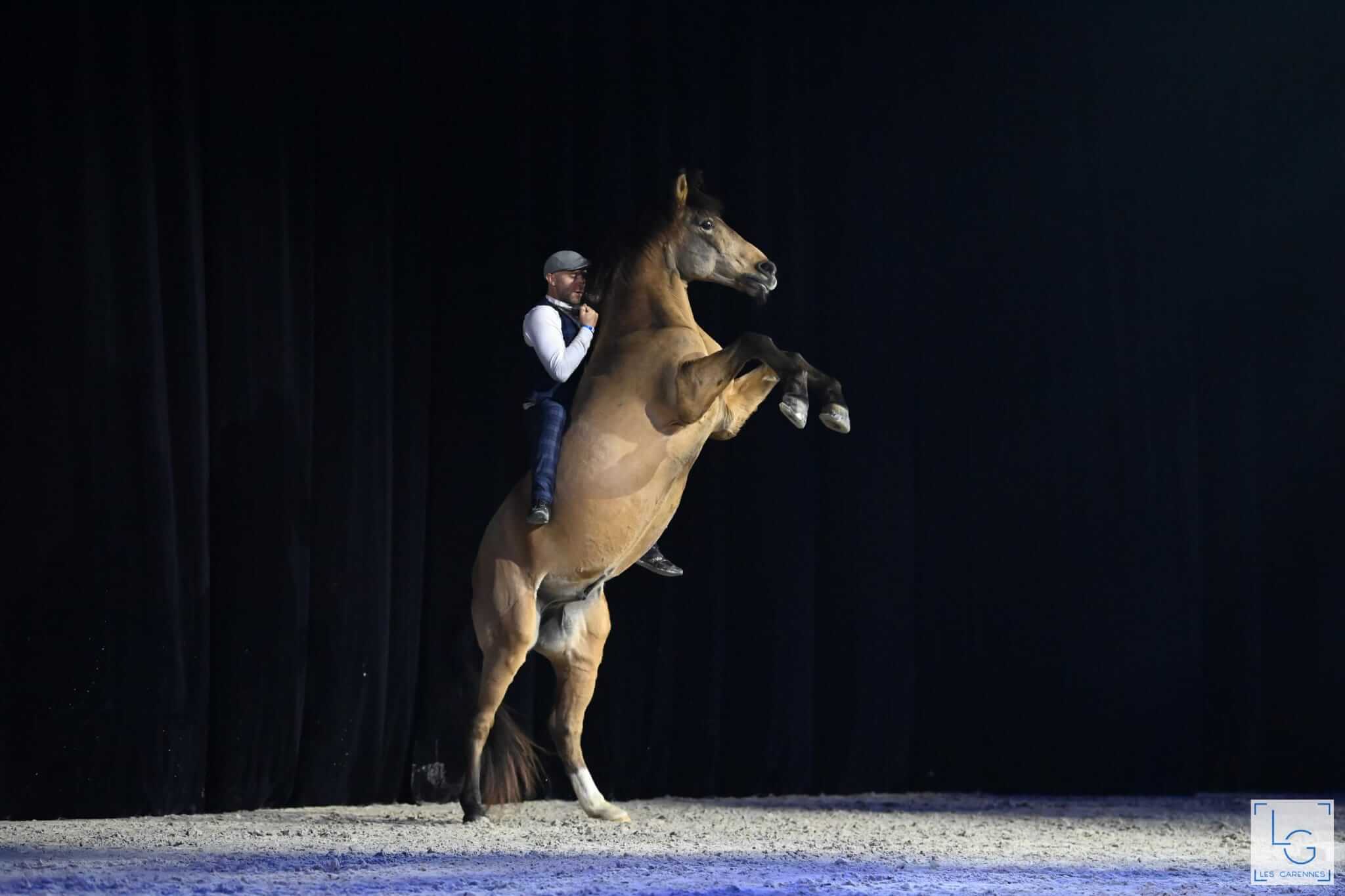 Un homme sur un cheval
